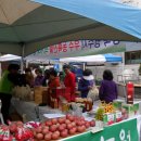 강남구 일원2동에서 가진 영주농특산물 홍보판매 행사 이미지