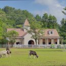 무진랜드&호텔 | [제주도 숙소 호텔 펜션 리조트 추천!] 길갈 팜 랜드 제주도 숙소 길갈 팜 랜드, 자연 속 힐링 공간