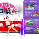 섬사우나 이미지