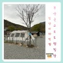 비타민캠핑장 | 밀양 부산 근교 오토캠핑장 추천 비타민팜 C4 찐 만족 후기