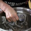 낙지는뻘낙지