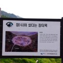 장터목 이미지