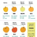 배가농원 이미지