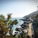 갈맷길 2-2코스 이미지