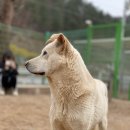 준독트레이닝센터 이미지