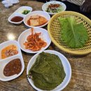 청주를 대표하는 족발 맛집 : 청주 [둥지마을 왕족발]