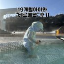 카페홀로우 | 이천 테르메덴 아이 동반 후기｜19개월 아기와 오픈런, 실내·야외풀·찜질방까지