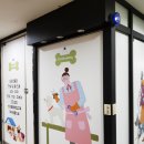 마린동물병원 이미지