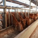 행정사 사무소 래인 이미지