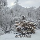 완두콩가족펜션 | 겨울은 가고