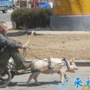 용오름산장 Daum카페