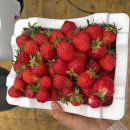 검은들농장 이미지