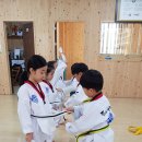 조례태권도장 이미지