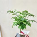 성산구청 이미지