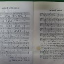 후야후야 Daum카페