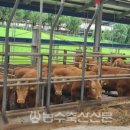 주식회사 농수축산신문