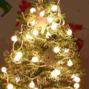 스테이두모 이미지