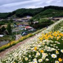 ♡용인 칼리오페 카페 꽃동산에서~♡ 이미지