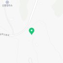 강성호 반려견 스쿨 이미지