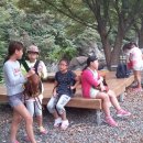 연미초등학교 이미지