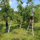 건이네 농장 이미지