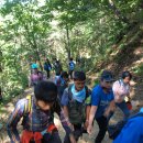 홍천군장애인복지관 이미지