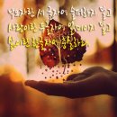 슈슈헤어 네이버블로그