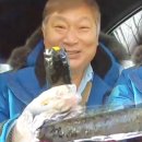 뚱채김밥대구 이미지