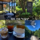 조*락 - 안양시 만안구 충훈로71번길 | 제주 서귀포 반려동물 동반, 초당옥수수빙수 맛집 카페 '터틀락' 내돈내산 후기