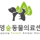 통영숲동물의료센터 이미지