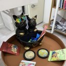 약봉테라피 (마사지 교정운동) | 종로 통증 체형교정 온고테라피 통증관리 바디케어 마사지 종로점 후기