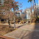 이편한힐스공인중개사사무소 | 광교자연앤힐스단지내탑공인중개사사무소 친절하고 주변에도 소개해주고픈 광교 부동산