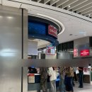 옥수수 펫샵 | 수원 스타필드 상하이 마라꼬치팝업 후기