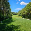 파인밸리 컨트리클럽 | 파인밸리CC!!파인밸리CC,주식매매후기!!파인밸리컨트리클럽!!파인밸리골프장.^^