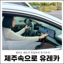 초원카 | 제주도 렌트카 픽업부터 후기까지! 제주속으로 렌트카 제주 유레카 추천