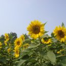 논개생가(주촌)마을 이미지