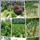 덕의농장 이미지