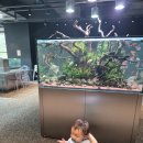 아쿠아테라 수족관 | 가평 아이와 함께 가볼 만한 곳 < 아쿠아가든 카페 >