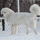 경호목장 이미지