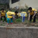 금련 경로당 이미지