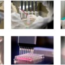 에스바이오 이미지