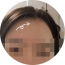 강아지와 고양이 | 시목헤어: 창원 미용실, 상남동 미용실, 창원 염색