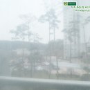 베네스타공인중개사 이미지