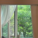 수주네일 - 강서구 양천로 564 | 수주네일