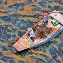 우리 바다 섬 여행 (대한민국 섬 포토에세이 사진공모이벤트) 이미지