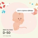 종합서적 (주) | 증상 | 미즈웰 정기검진 | 보건소 백일해 접종(남편과함께) | 양산 육아종합지원센터 방문 및 가입후기