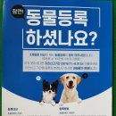 동락공원 반려동물 놀이터 이미지