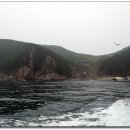 선미도 등대 Daum카페