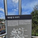 등대자동차정비 | 동해 가볼만한곳 묵호 논골담길 벽화마을, 묵호항의 역사를 걷다