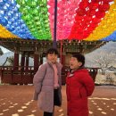 길상면-9 | 강화도맛집 금문도, 확장이전 후 내돈내산 후기